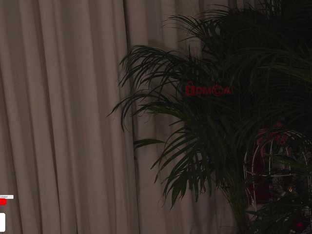 go to chat with Taanni