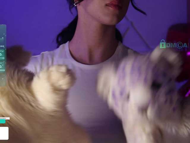 Taanni's BongaCams show and profile