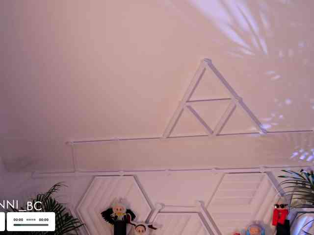 Taanni webcam