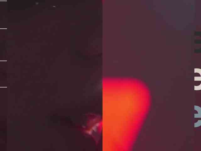 Taanni webcam