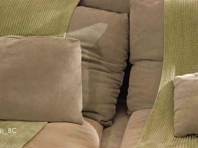 Taanni webcam