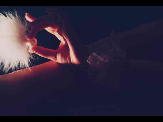 Taanni webcam