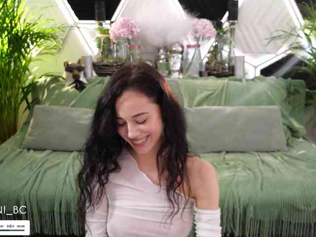 Taanni webcam