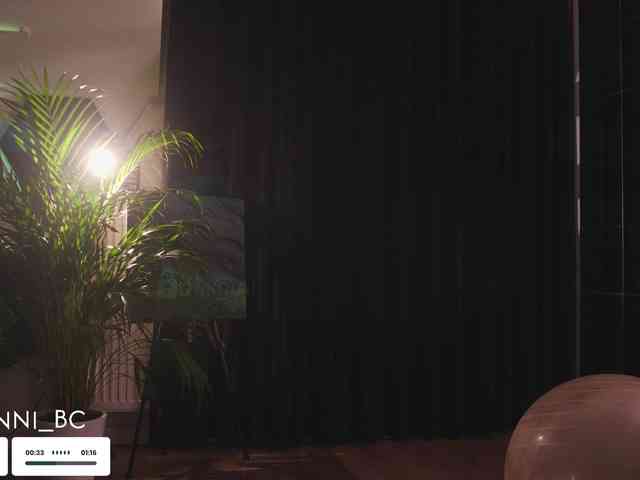 Taanni webcam
