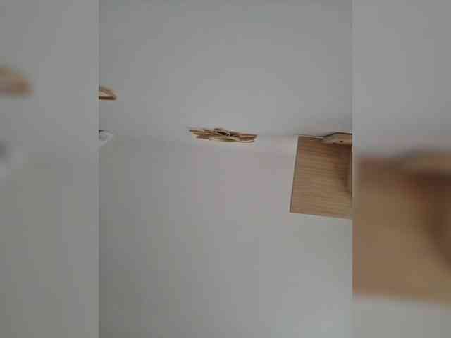 Taanni Live Webcam on BongaCams