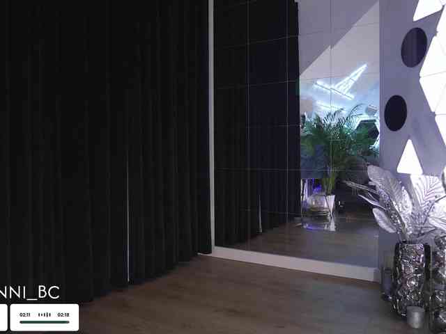 Taanni webcam