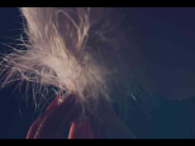 Taanni webcam