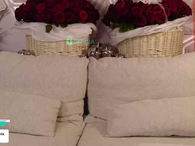 video chat for free Taanni