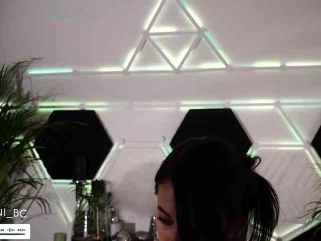 Taanni webcam