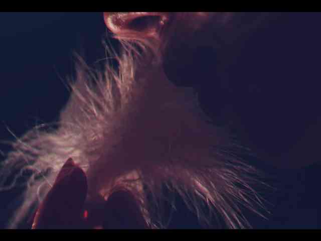 Taanni webcam