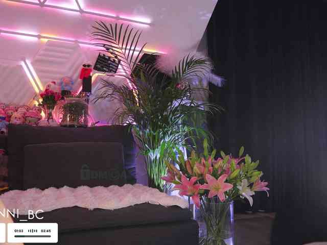Taanni webcam