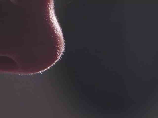 live webcam porn Taanni