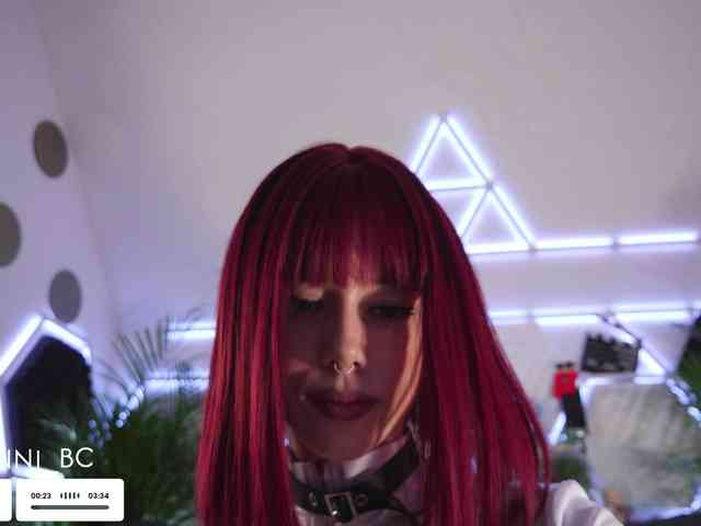 Taanni webcam