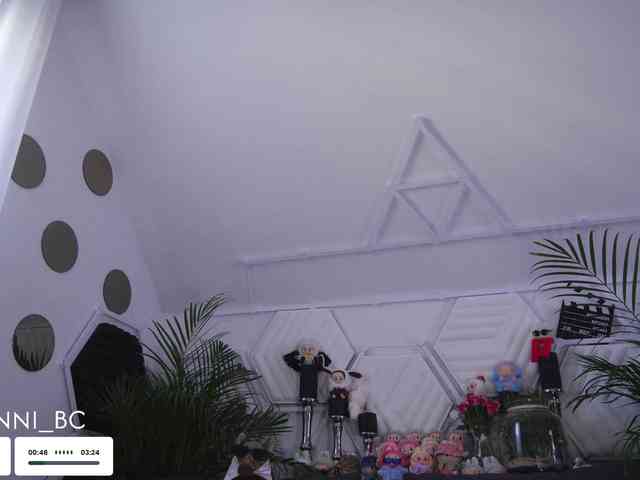 Taanni webcam