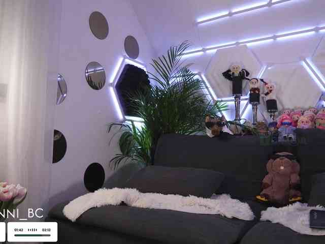 Taanni webcam