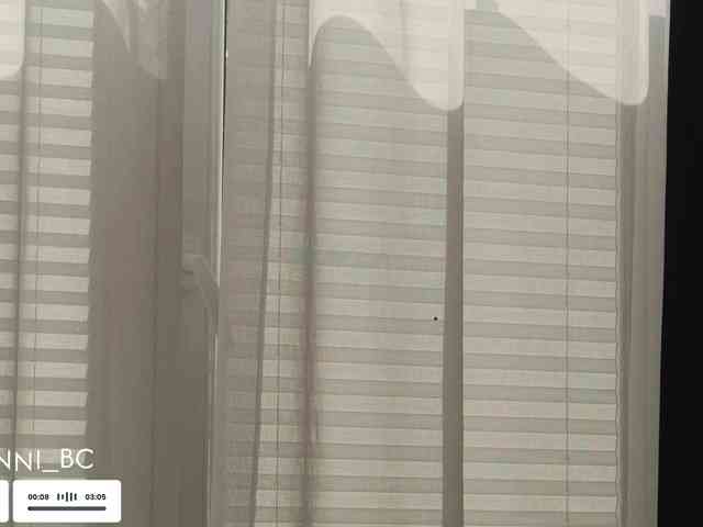 Taanni webcam