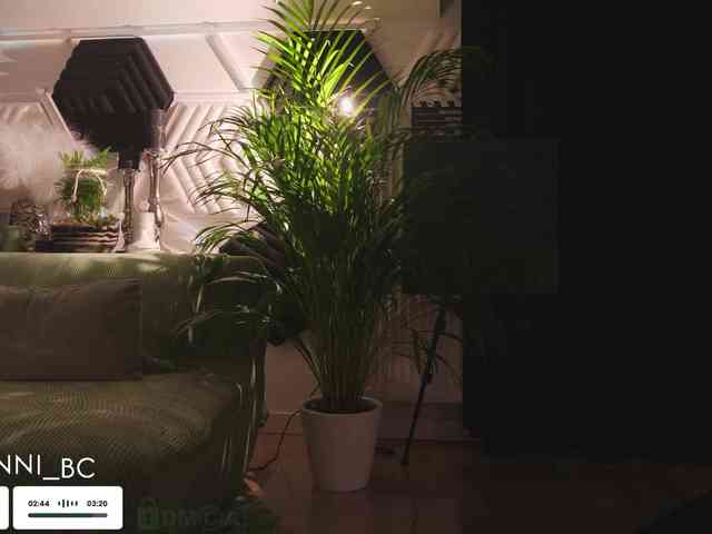 Taanni webcam