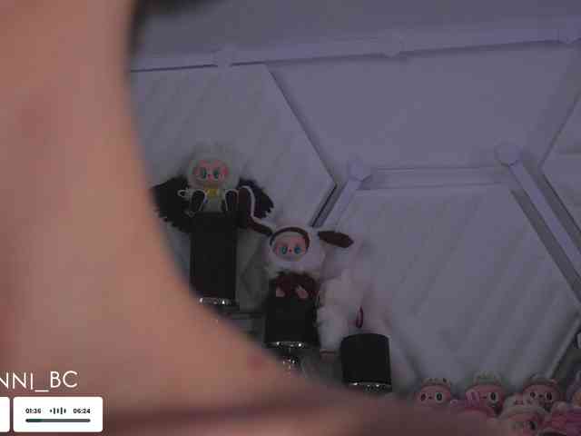 Taanni webcam