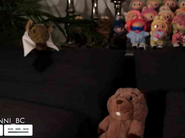 Taanni webcam