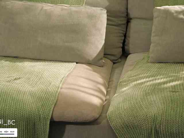 Taanni webcam