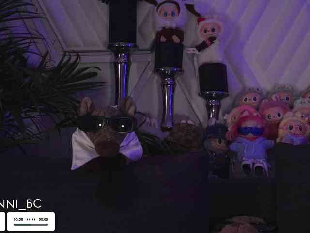 Taanni webcam