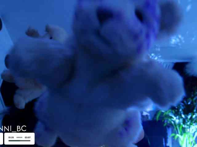 Taanni webcam