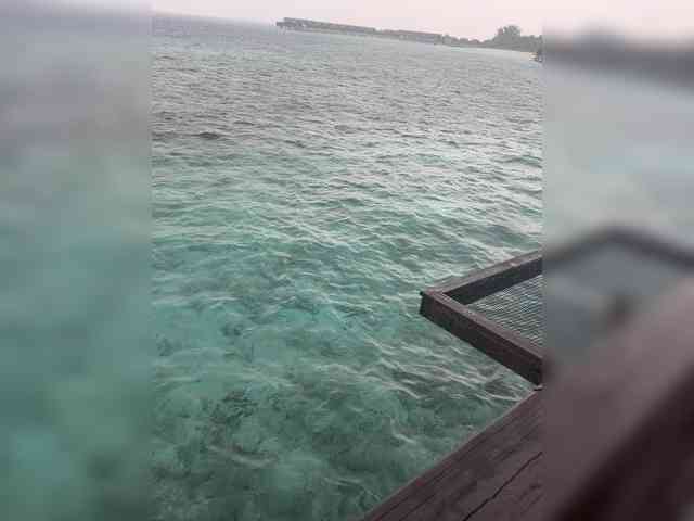 Taanni Live Webcam on BongaCams