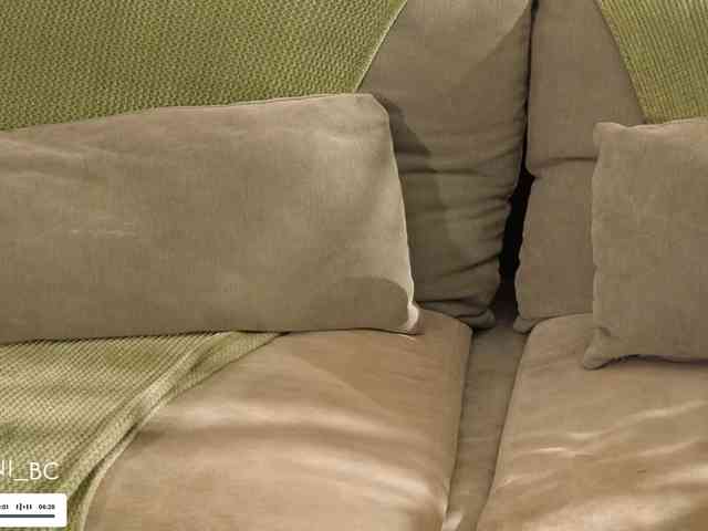 Taanni webcam