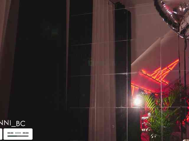 Taanni webcam