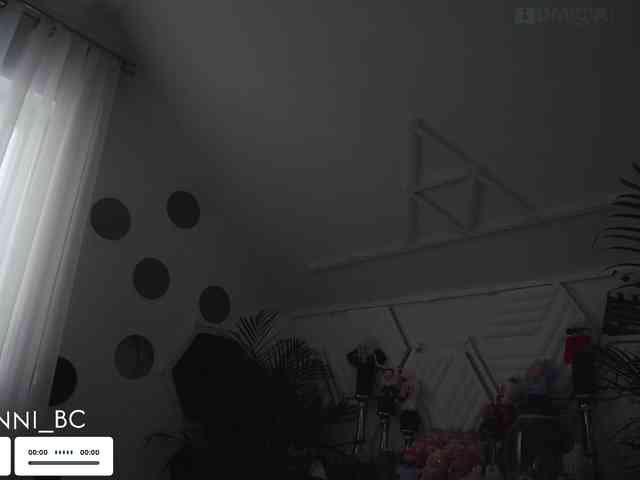 Taanni webcam