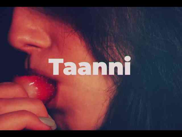 Taanni webcam