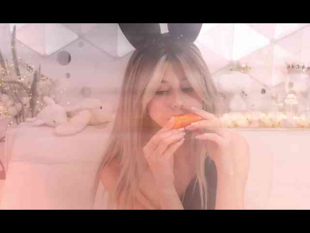 Taanni webcam