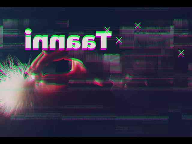 Taanni webcam