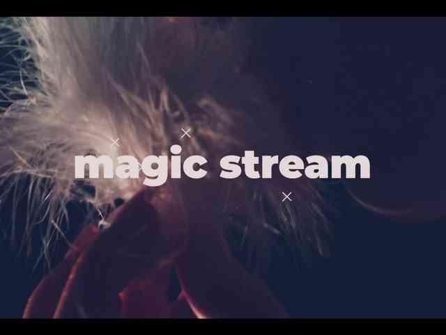 Taanni webcam