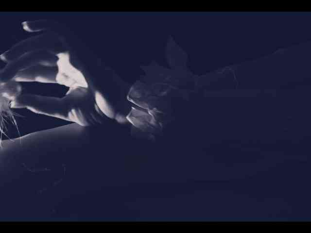 Taanni webcam