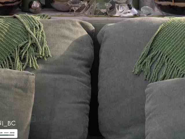 Taanni webcam