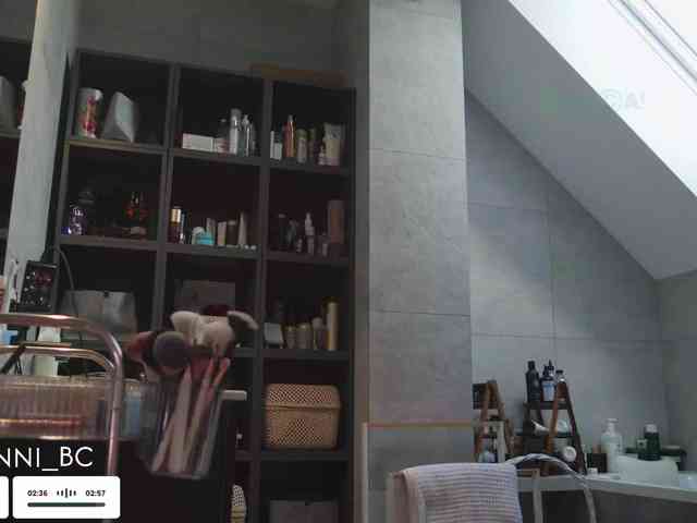 Taanni webcam