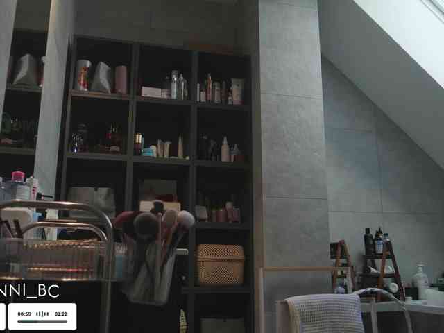Taanni webcam