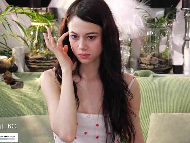 Taanni webcam
