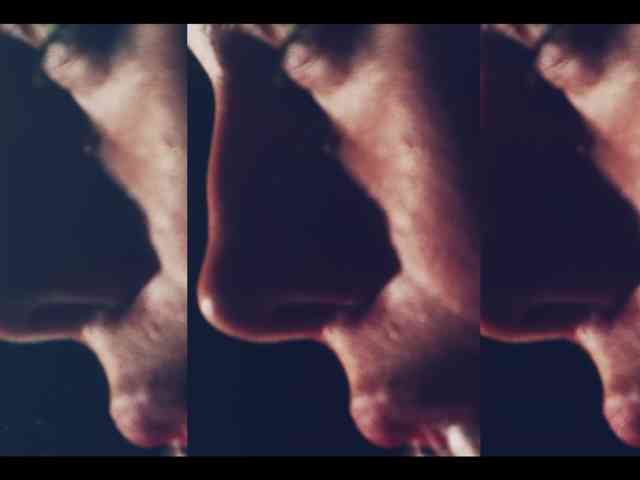 Taanni webcam