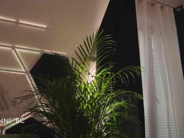 Taanni Live Webcam on BongaCams