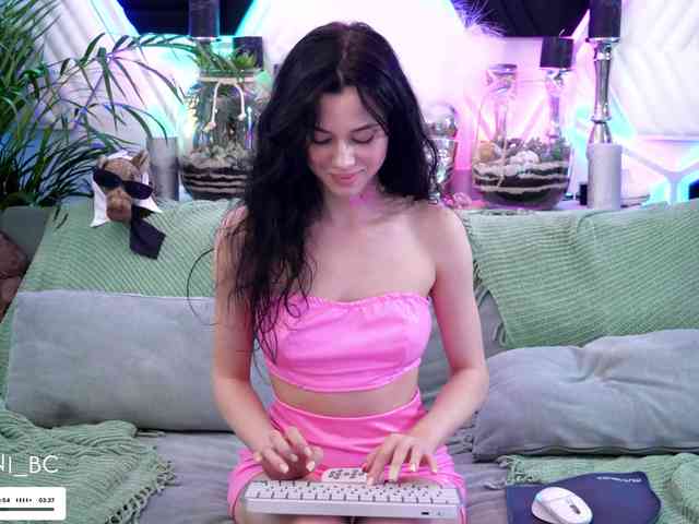Taanni webcam