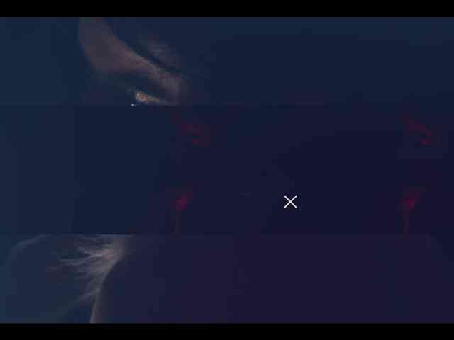 Taanni webcam