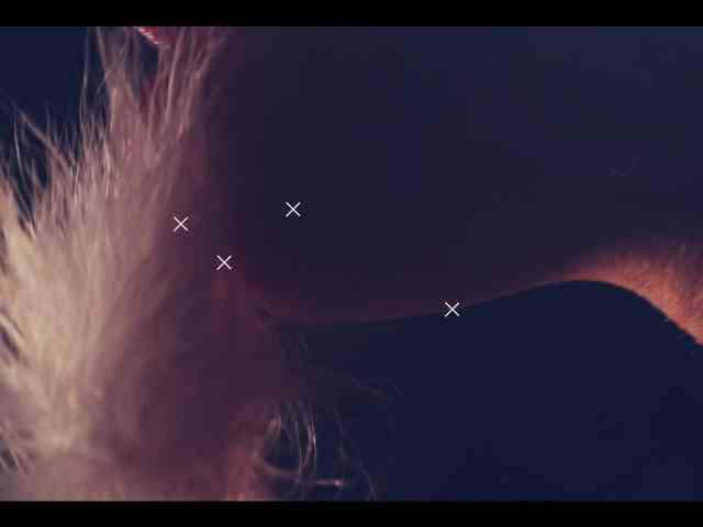 Taanni webcam