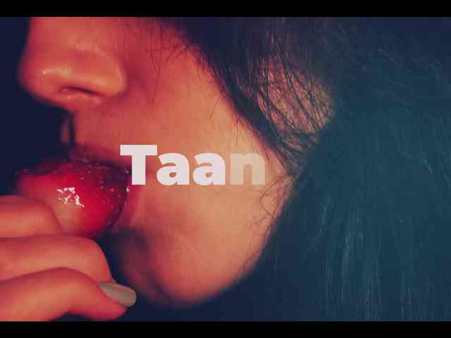 Taanni webcam