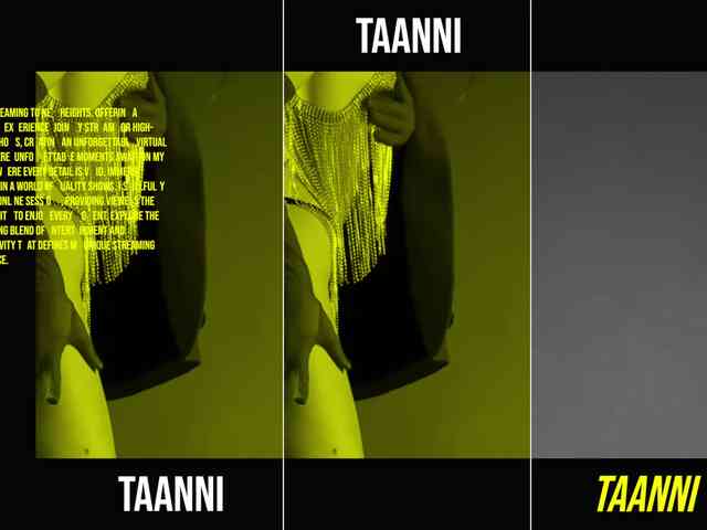Taanni webcam