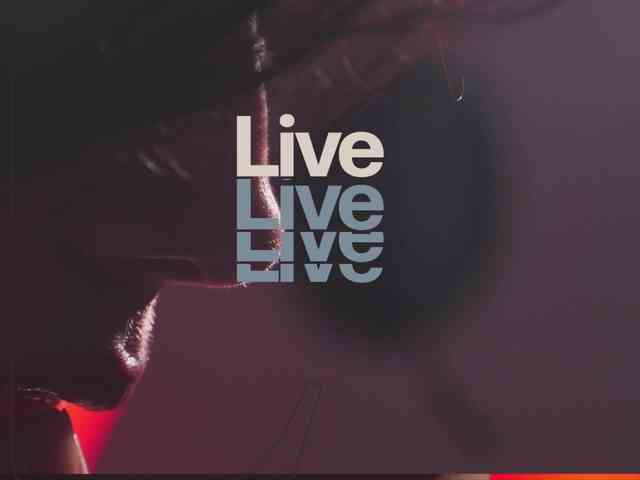 Taanni webcam