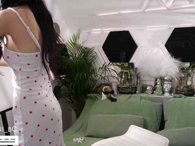 Taanni webcam