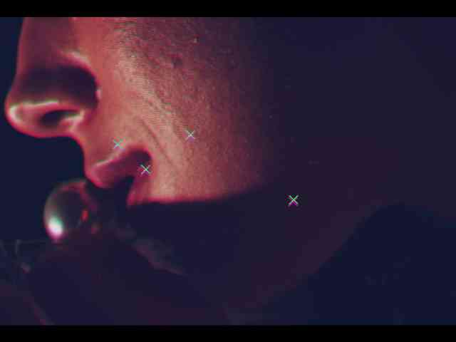 Taanni webcam