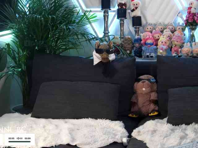 Taanni webcam